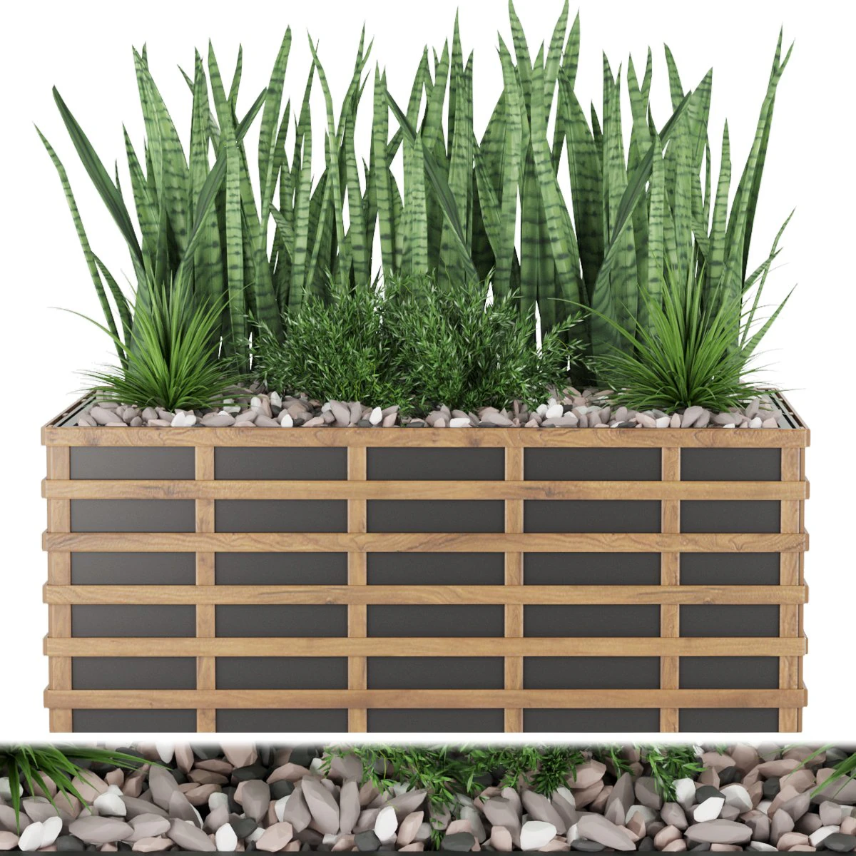 collection plant vol 132 3D Model .c4d .max .obj .3ds .fbx .stl .blend 