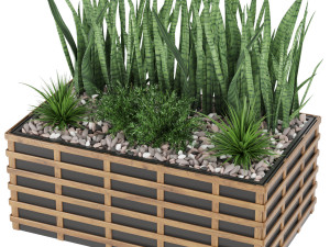 collection plant vol 132 Modelo 3D