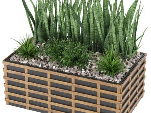 collection plant vol 132 3D Model