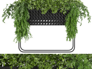 collection plant vol 133 3D Модель