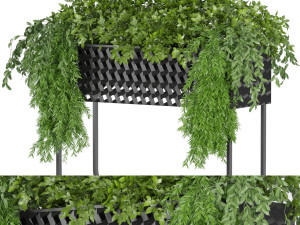 collection plant vol 133 3D Модель