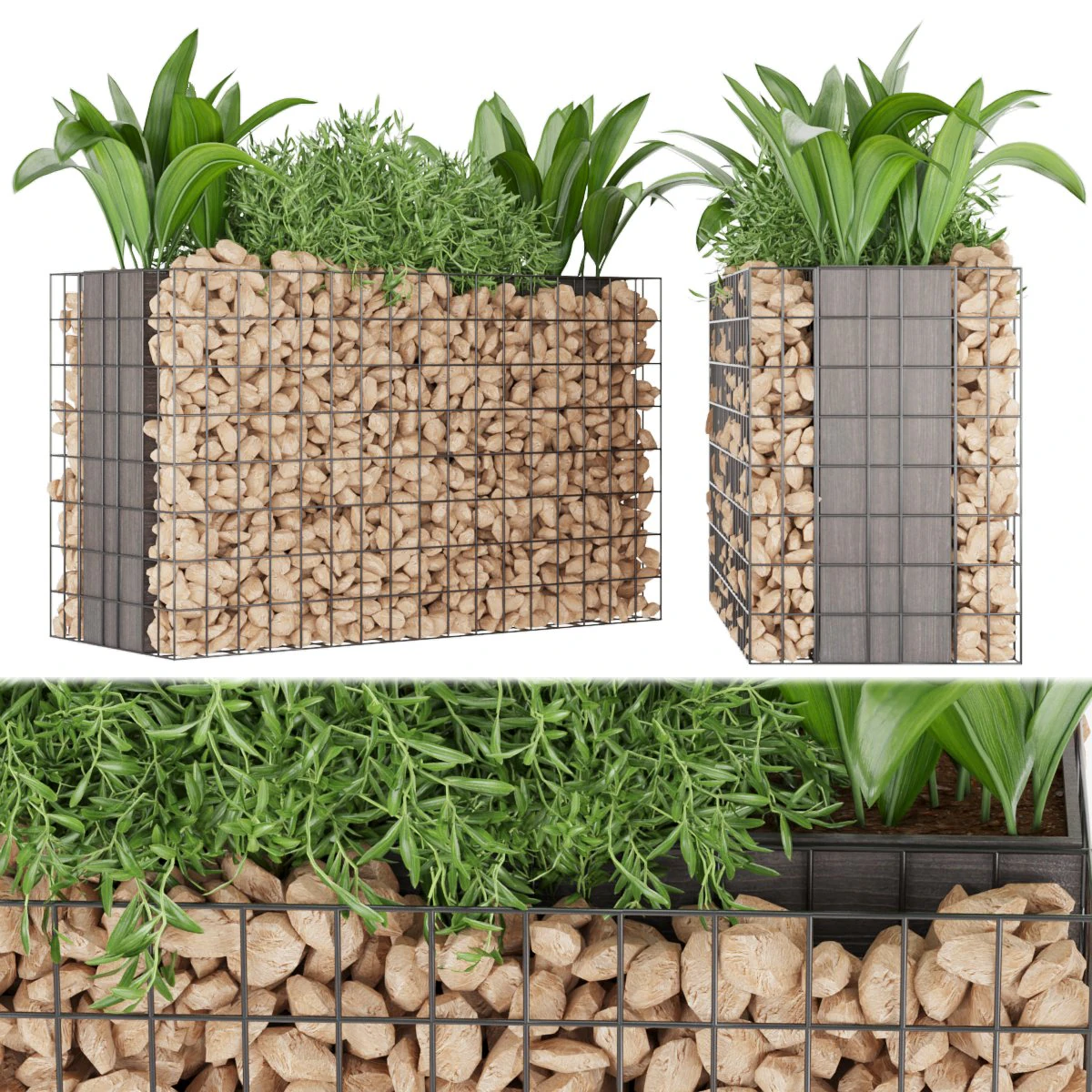 collection plant vol 135 3D Model .c4d .max .obj .3ds .fbx .stl .blend 