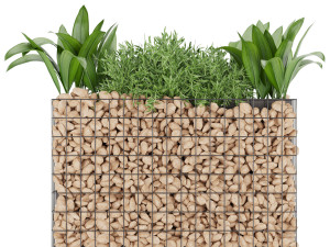 collection plant vol 135 Modelo 3D