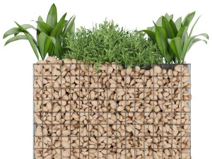collection plant vol 135 3D Model