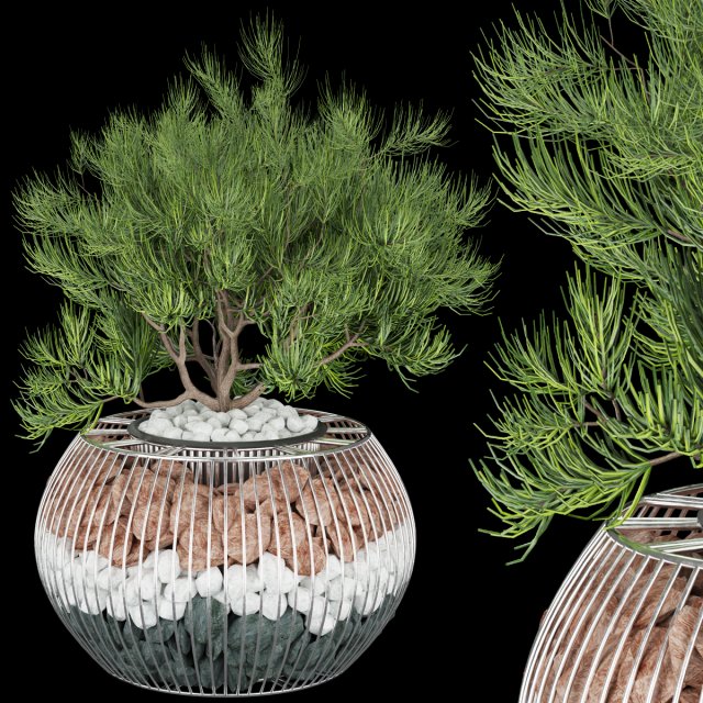 collection plant vol 136 3D Модель .c4d .max .obj .3ds .fbx .stl .blend 