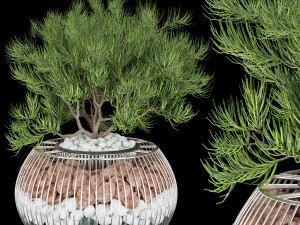 collection plant vol 136 Model 3D