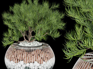 tanaman koleksi jilid 136 Model 3D