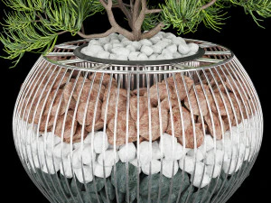 collection plant vol 136 3D Model