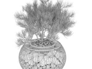collection plant vol 136 3D Model