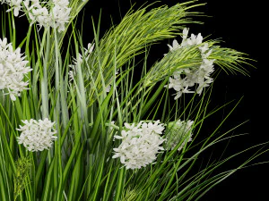 collection plant vol 138 3D Model