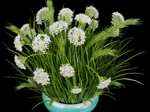 collection plant vol 138 Modèle 3D