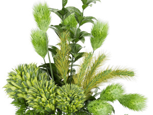 collection plant vol 139 Modello 3D
