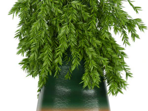 collection plant vol 139 3D Model