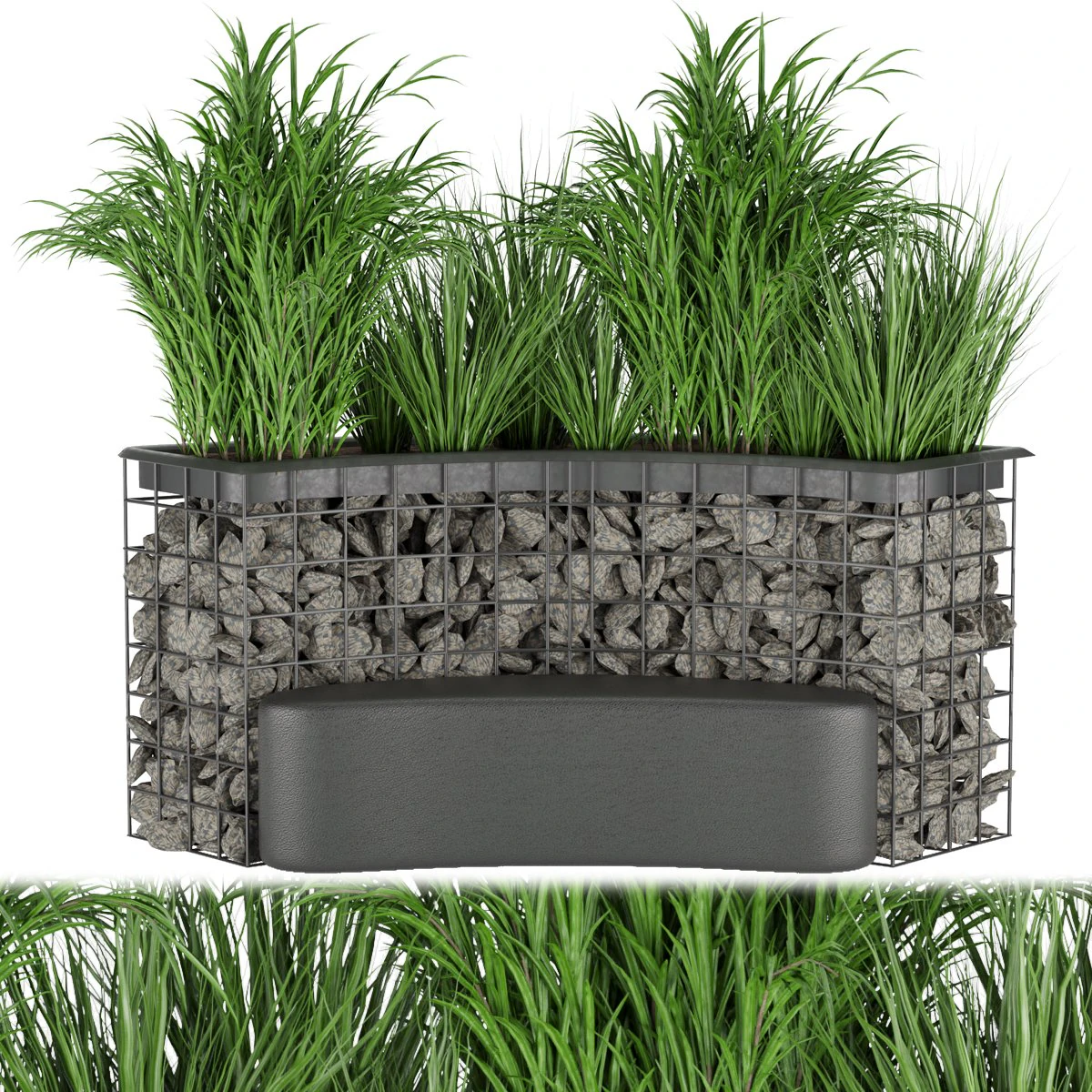 collection plant vol 141 3D Model .c4d .max .obj .3ds .fbx .stl .blend