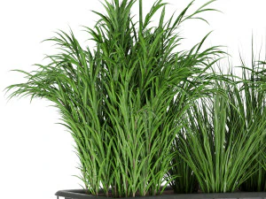 collection plant vol 141 3D Model