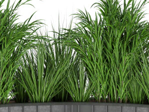 collection plant vol 141 3D Model