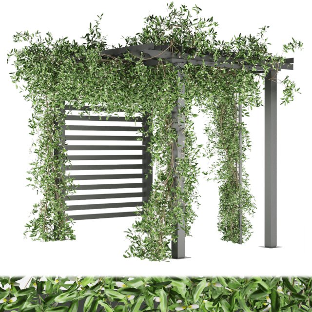 collection plant vol 143 3D Model .c4d .max .obj .3ds .fbx .stl .blend 