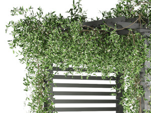 collection plant vol 143 3D Model