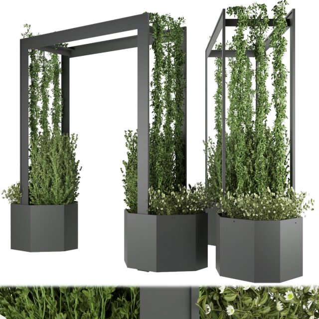 collection plant vol 147 3Dモデル .c4d .max .obj .3ds .fbx .stl .blend 