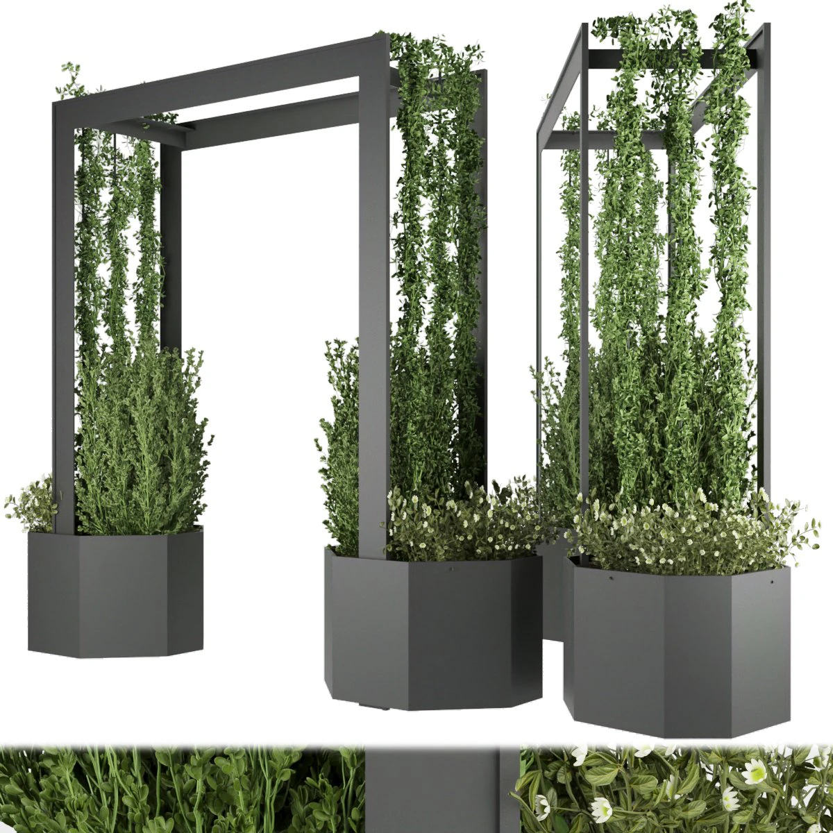 collection plant vol 147 3D Model .c4d .max .obj .3ds .fbx .stl .blend 