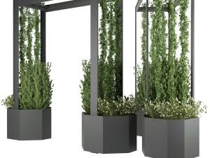 collection plant vol 147 3D Model