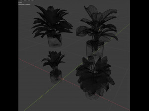 Calathea Collection - blender model Model 3D