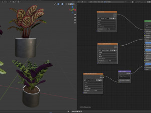 Calathea Collection 2 Model 3D