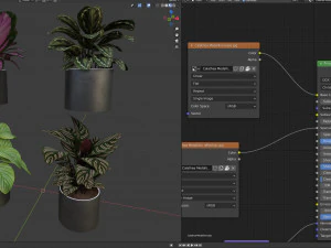 Calathea Collection 3 3D Model