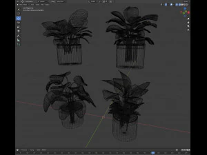 Calathea Collection 3 3D Model