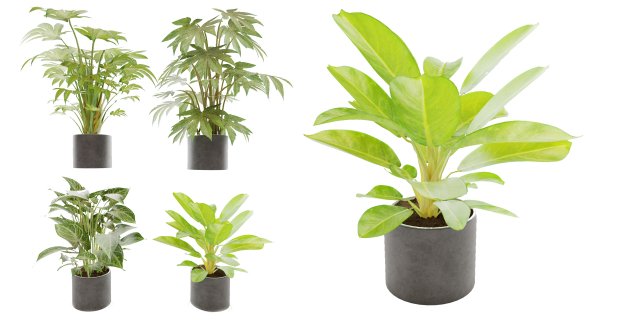 Collection plant vol 2 Modelo 3D .c4d .max .obj .3ds .fbx .stl .blend 
