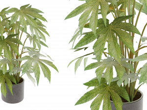 Collection plant vol 2 Modelo 3D