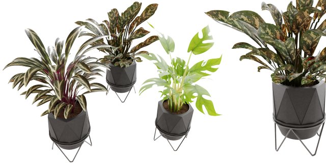 Collection Plant Vol 3 3D मॉडल .c4d .max .obj .3ds .fbx .stl .blend 