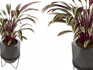 Collection Plant Vol 3 3D मॉडल