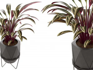 Collection Plant Vol 3 3D Model