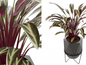Collection Plant Vol 3 3D मॉडल