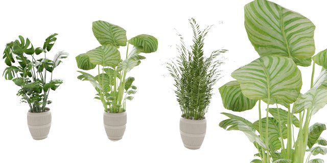 Collection Plant Vol 4 3Dモデル .c4d .max .obj .3ds .fbx .stl .blend 