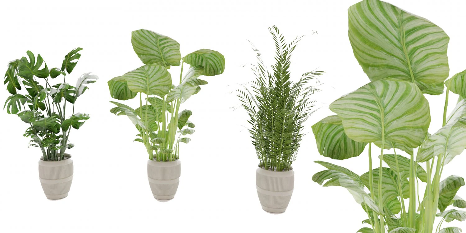 Collection Plant Vol 4 3D Model .c4d .max .obj .3ds .fbx .stl .blend 