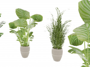 Collection Plant Vol 4 Model 3D