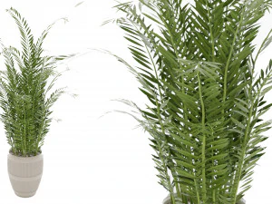 Collection Plant Vol 4 3D Model