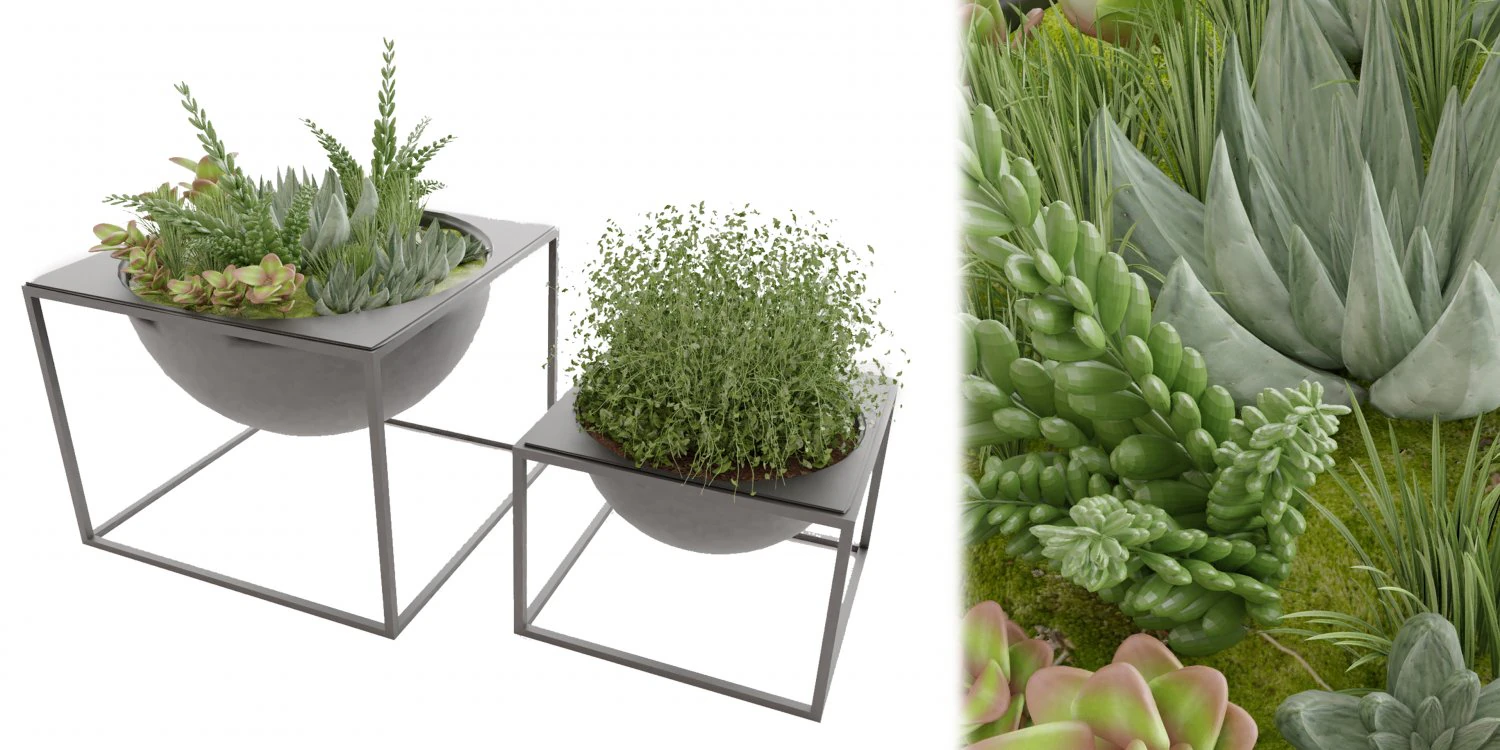 Collection Plant Vol 11 3D Model .c4d .max .obj .3ds .fbx .stl .blend