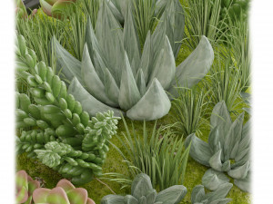 Collection Plant Vol 11 Model 3D