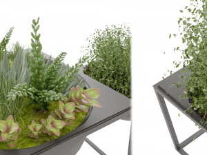 Collection Plant Vol 11 3D Model