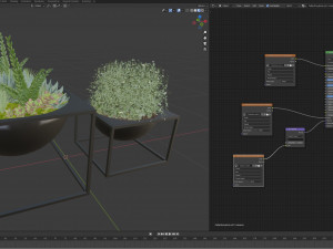 Collection Plant Vol 11 Model 3D