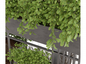 Collection Plant Vol 13 Modelo 3D