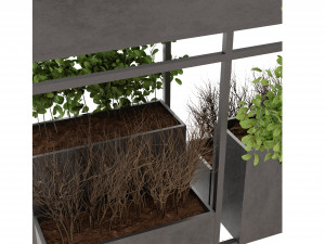 Collection Plant Vol 13 Modelo 3D