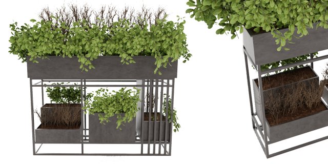 Collection Plant Vol 13 Modelo 3D .c4d .max .obj .3ds .fbx .stl .blend 