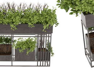 Collection Plant Vol 13 Modello 3D