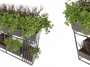 Collection Plant Vol 13 Modelo 3D