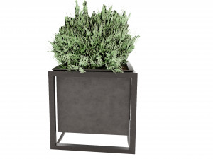 Collection Plant Vol 14 3D Model