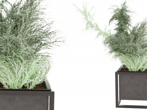 Collection Plant Vol 14 3D Model